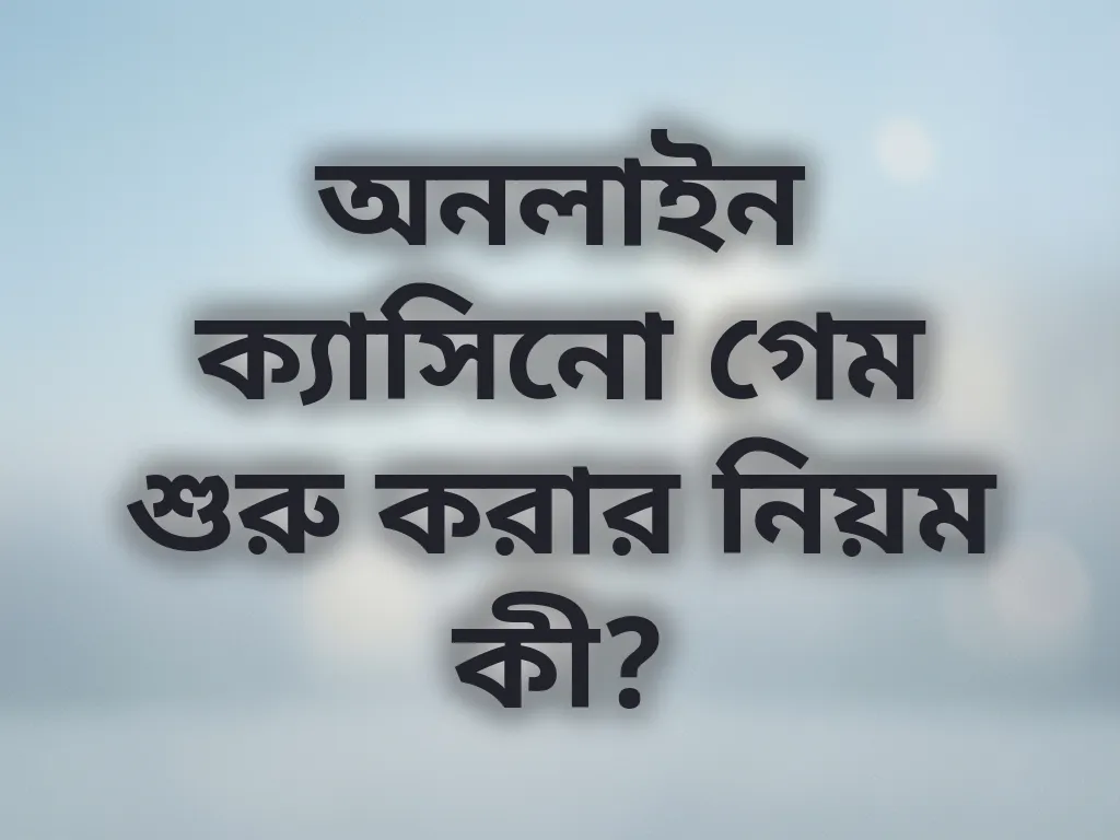 বিগিনার গাইড